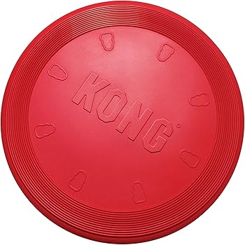 kong puppy frisbee