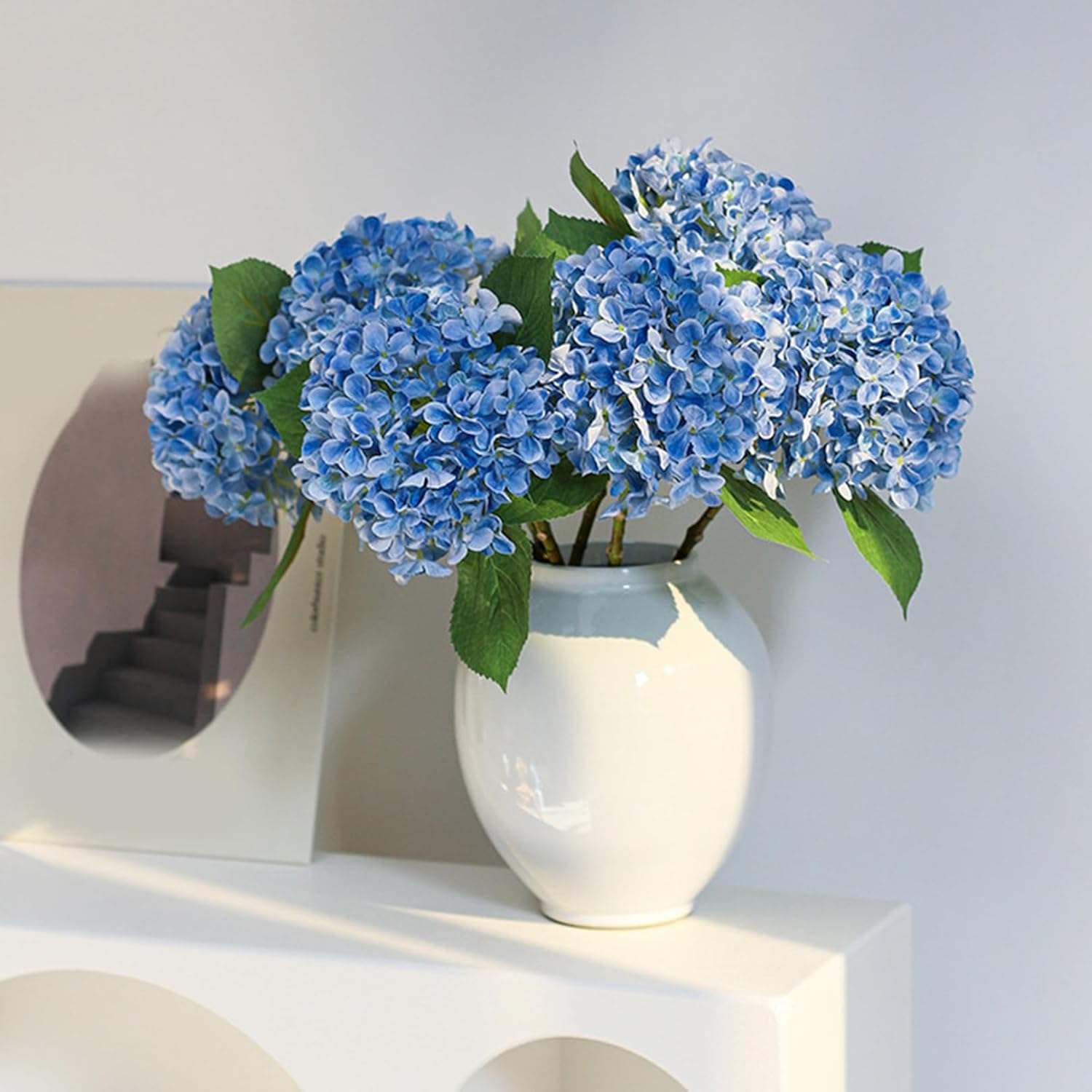 斑入りモンステラ☆希少高級品最高セブブルーミントドリルつき