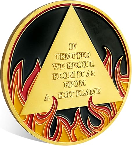 Miniatura 3 de Monedas AA y medallones de chips de sobriedad de llamas de 1 año, regalos de sobriedad para hombres y mujeres (año I)