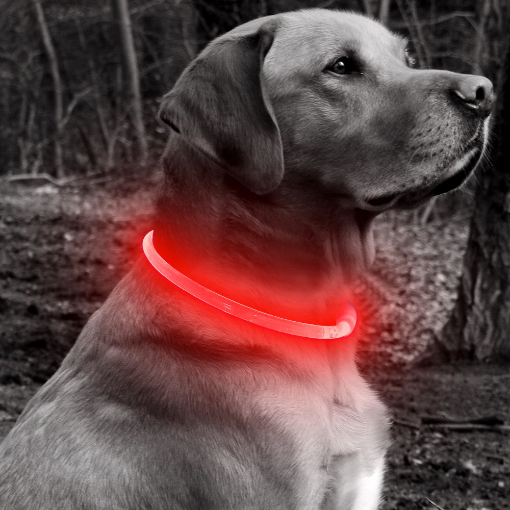 BSEEN Collar de luz LED recargable para perro, collar intermitente para mascotas, collar brillante de TPU recortable para perros pequeños, medianos y grandes (rojo)