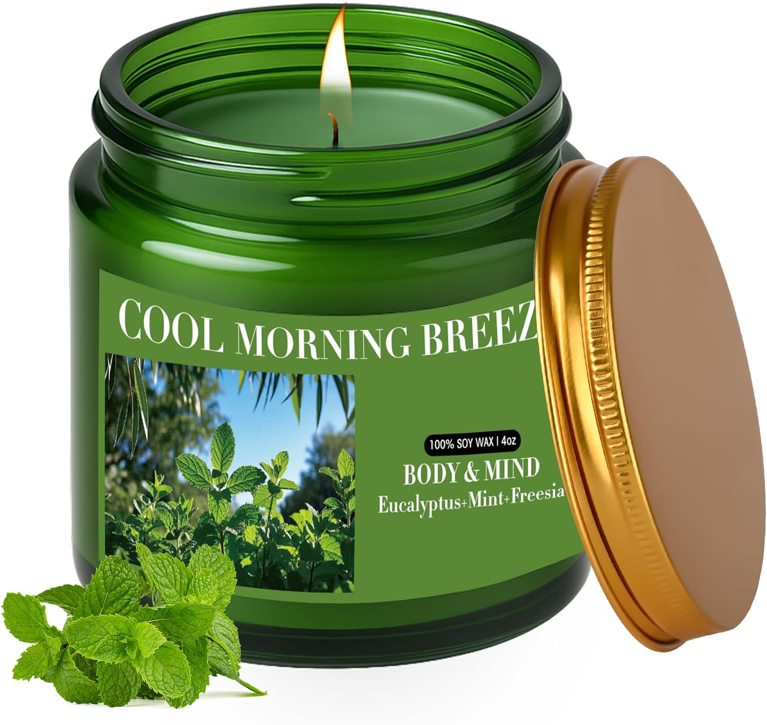 Eucalyptus & Mint Candles for Home Scented, 4oz Natural Soy Wax Jar Candle Gift for Men Women Stress Relief, Meditation, Yoga, Relaxing, 20H Long-Lasting Burns