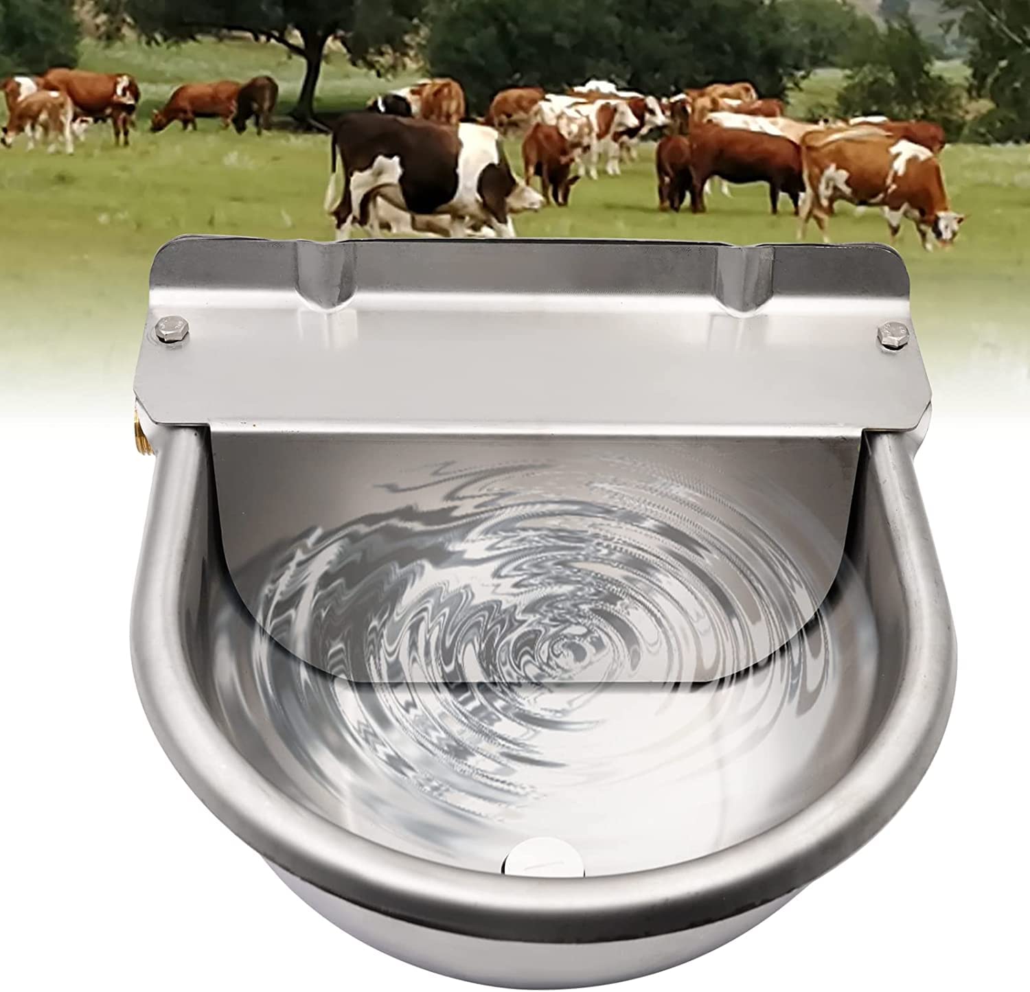 Bebedero para Caballos de Acero Inoxidable con VáLvula de Flotador de LatóN Ajustable de 1/2 "Y Orificios de Drenaje para Caballos, Vacas, Cerdos, Cabras, Ovejas, Bebederos para Perros