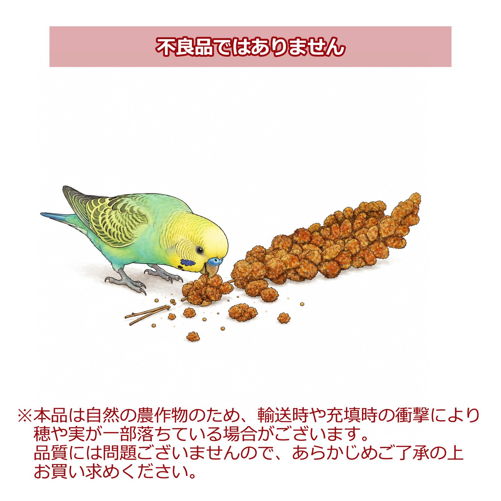Amazon | 無農薬 赤粟の穂 500g 小鳥の餌 フード 天然 無添加 小動物に