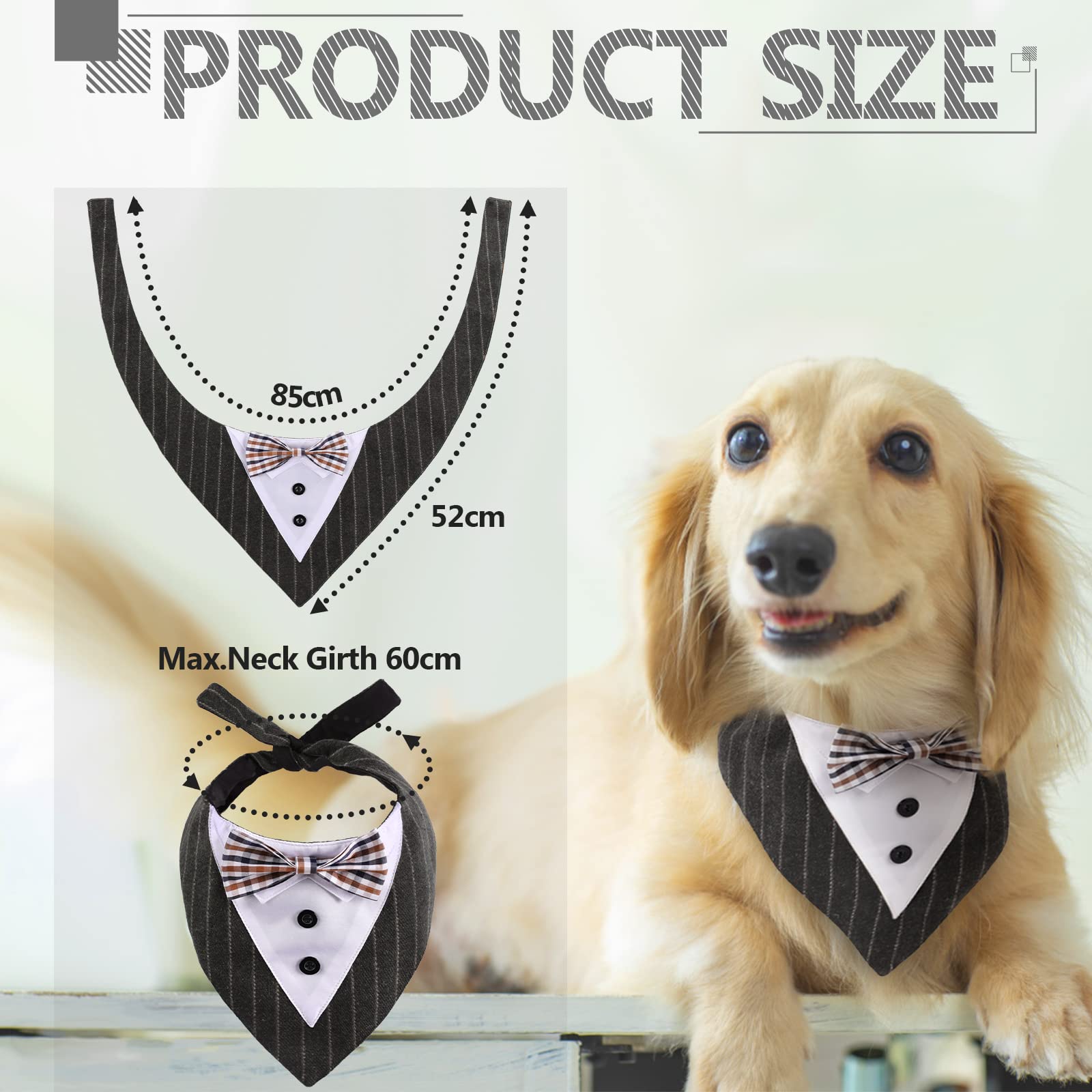 VFANDV Borraccia Per Cani Portatile 550ml, Con Ciotola Antigoccia E Dispenser Cibo, Per Trekking - Foto 4