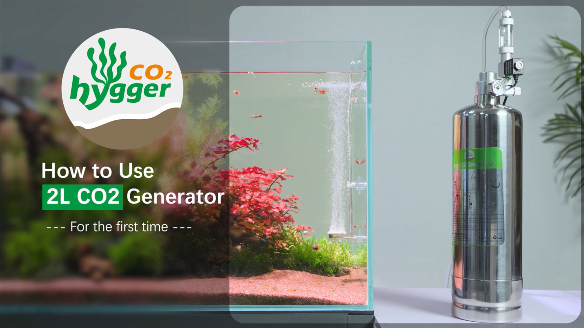 2L Aquarium CO2 Generator System, CO2 System Kit with Regulator