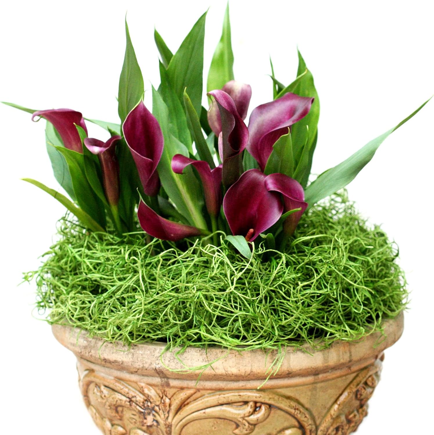 SuperMoss (26998) Preserved Spanish Moss – Decorative Moss for Crafts, Potted Plants, Fairy Gardens, Vase Filler, Floral Arrangements & Indoor/Outdoor Garden Projects, 265 Cu in Box, Coffee