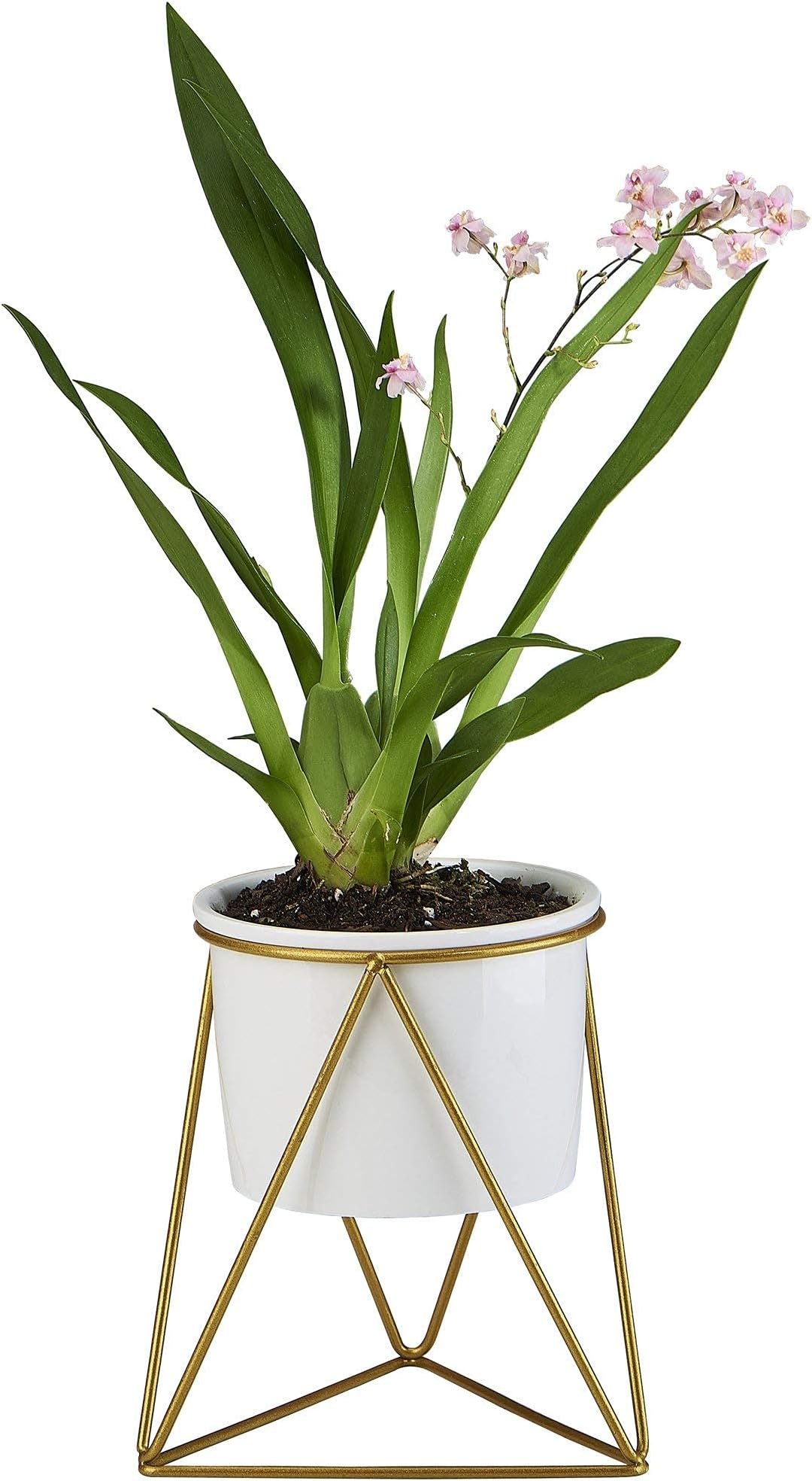 Lichamp Flowerplus Modern Succulent Planter Pot 4 inch with Stand, Indoor Desktop Decor 4.33 inch Small White Ceramic Cactus Round Pot with Gold Metal Holder