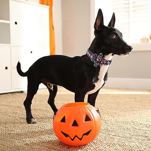 Miniatura 5 de ARING PET Collar de perro de Halloween, collar de algodón para perro con flor, lindo collar ajustable de Halloween a cuadros con hebilla de metal