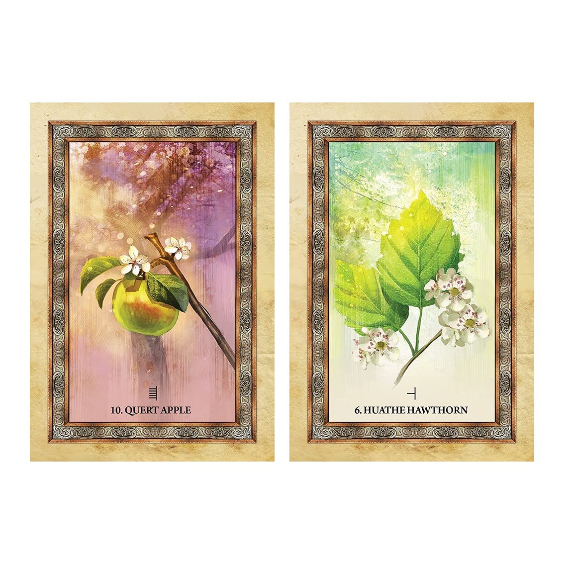 ✨とってもキュートな樹木のオラクルカード タロットカード