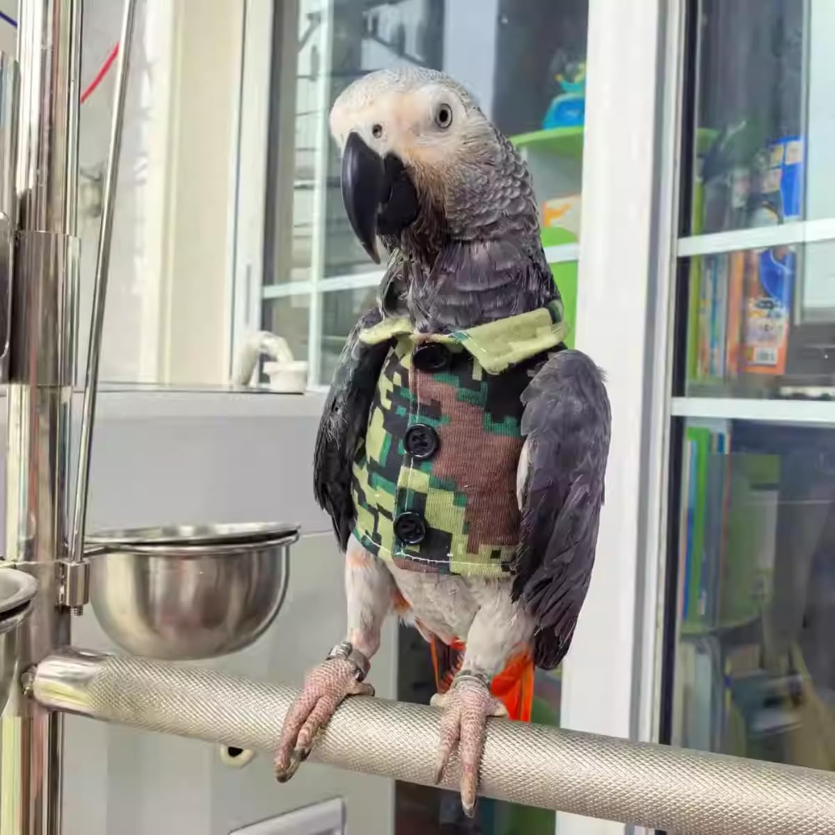 Bird Clothes Christmas Party Birthday Costume for Parrot Halloween Pet Birds Clothes Birds Cosplay Outfit Handsome Camouflage Coat for African Grey Macaw Cockatoo (Sulphur-Crested Cockatoo)