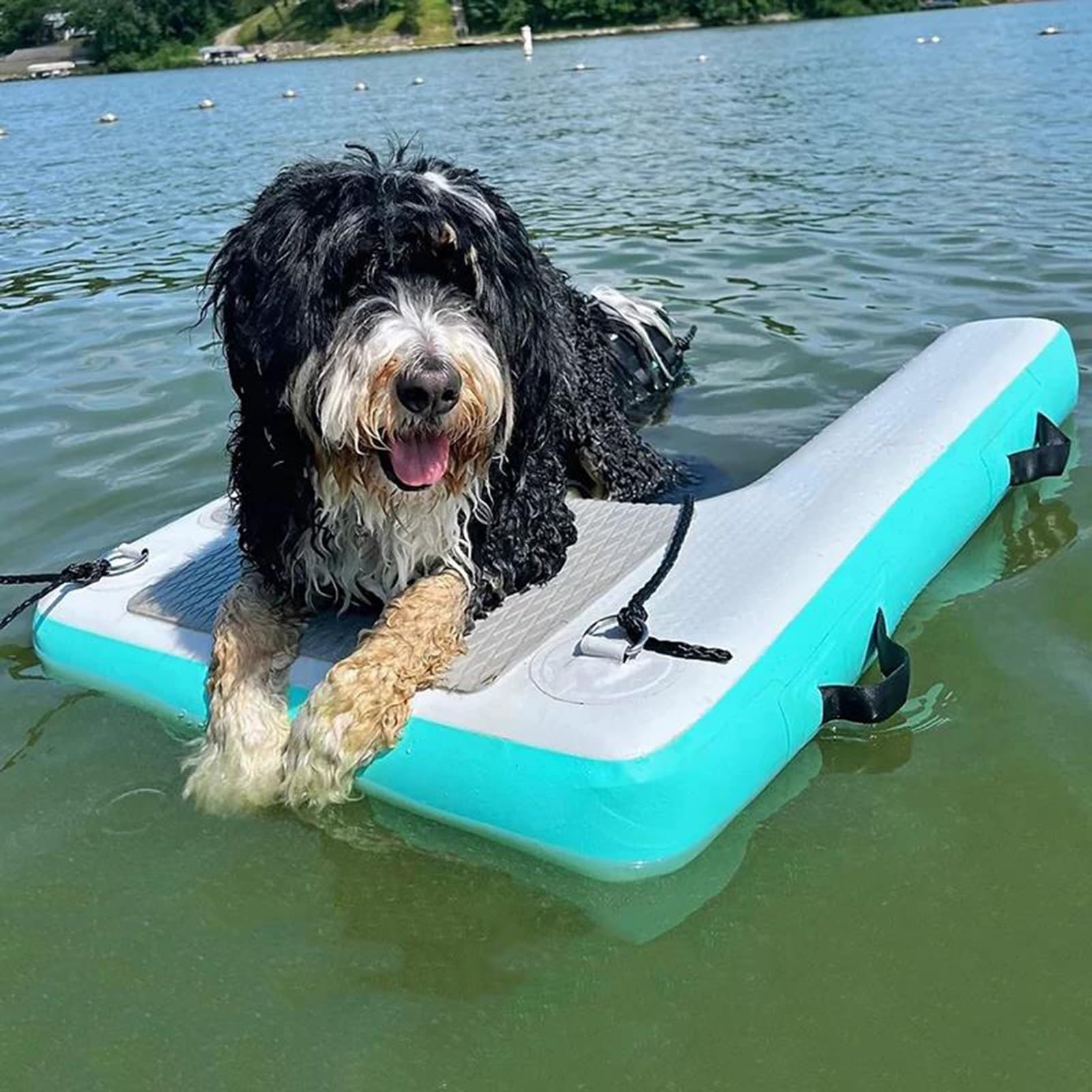 Large Inflatable Dogs Pool Float Green, Non-Slip Pet Floating Raft, Dog Water Ladder for Yacht, Beach, Sea, Portable Swimming Pool Ramps for Doggies
