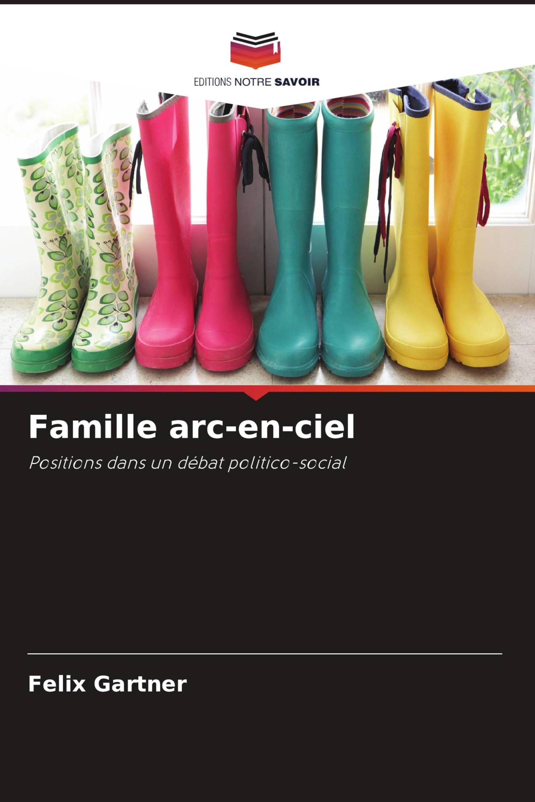 Famille arc-en-ciel: Positions dans un débat politico-social