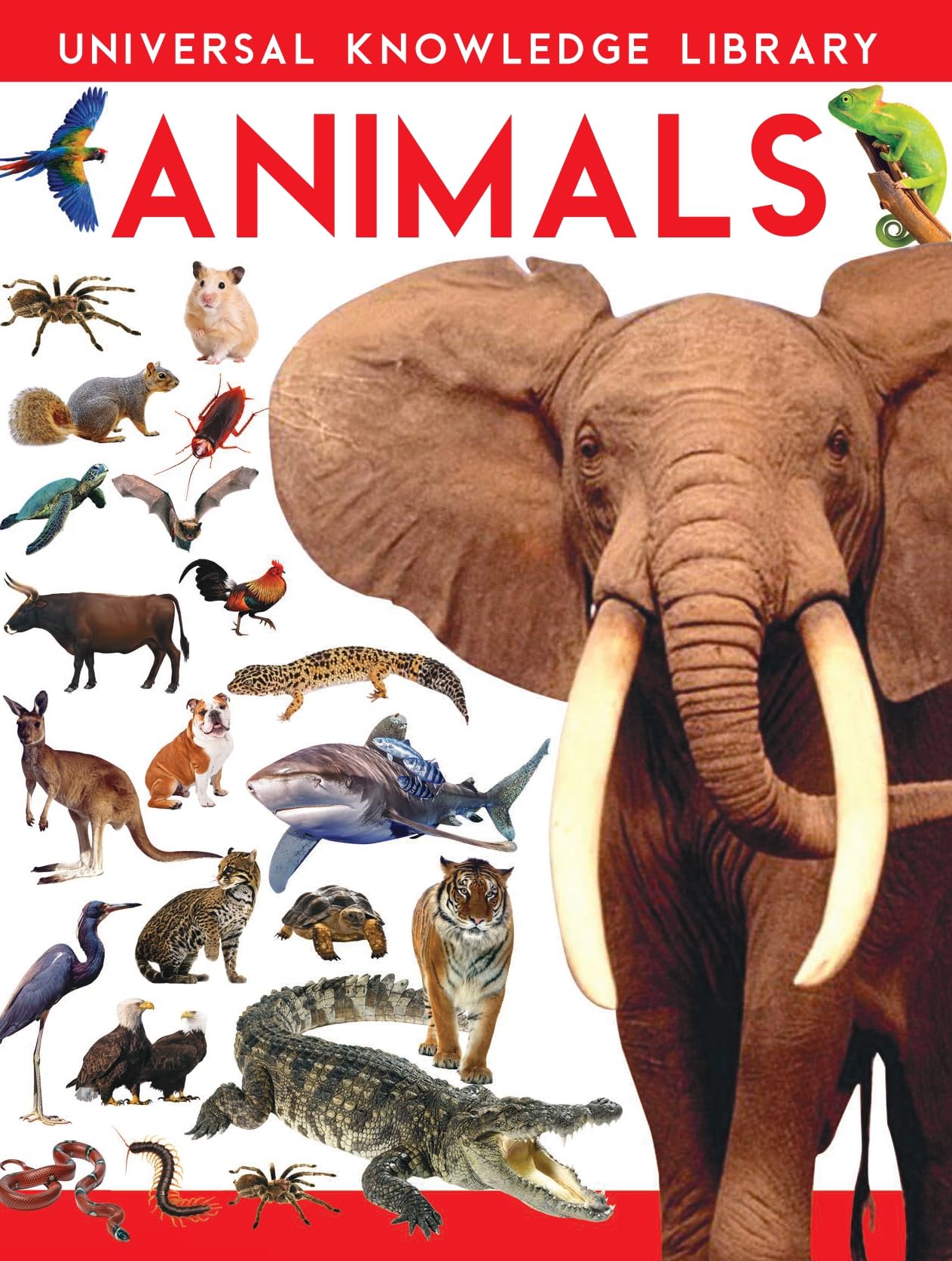 Universal Knowledge Library: Animals (English)