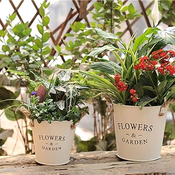 ☆多肉植物　寄せ植え〜フック付きブリキ缶寄せ植え　セット〜★ ☆多肉植物 寄せ植え〜フック付きブリキ缶寄せ植え セット