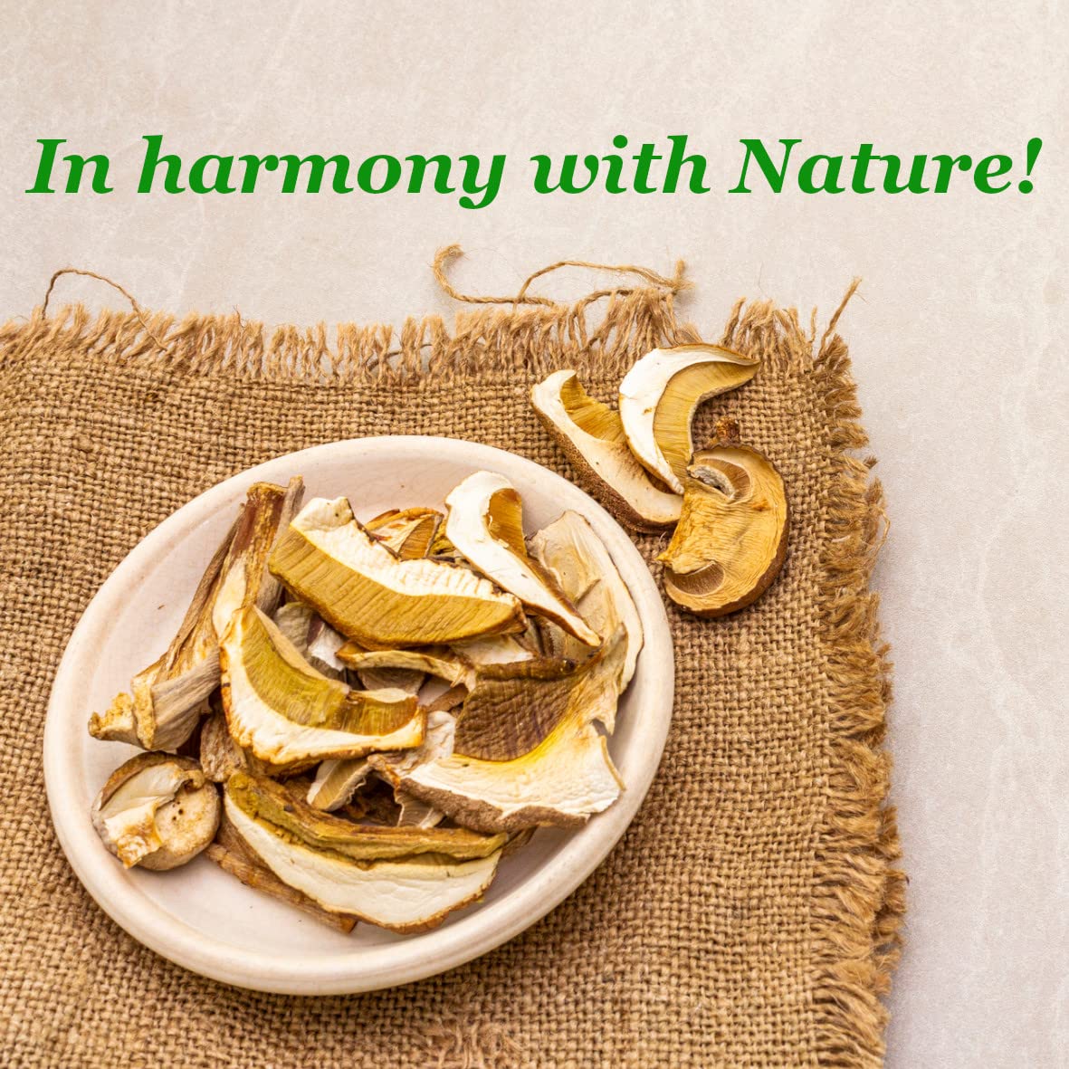 Funghi porcini in polvere 200g I Funghi porcini I Naturali I Macinati I Funghi porcini secchi I BIO LEIS in harmony with nature (200g)