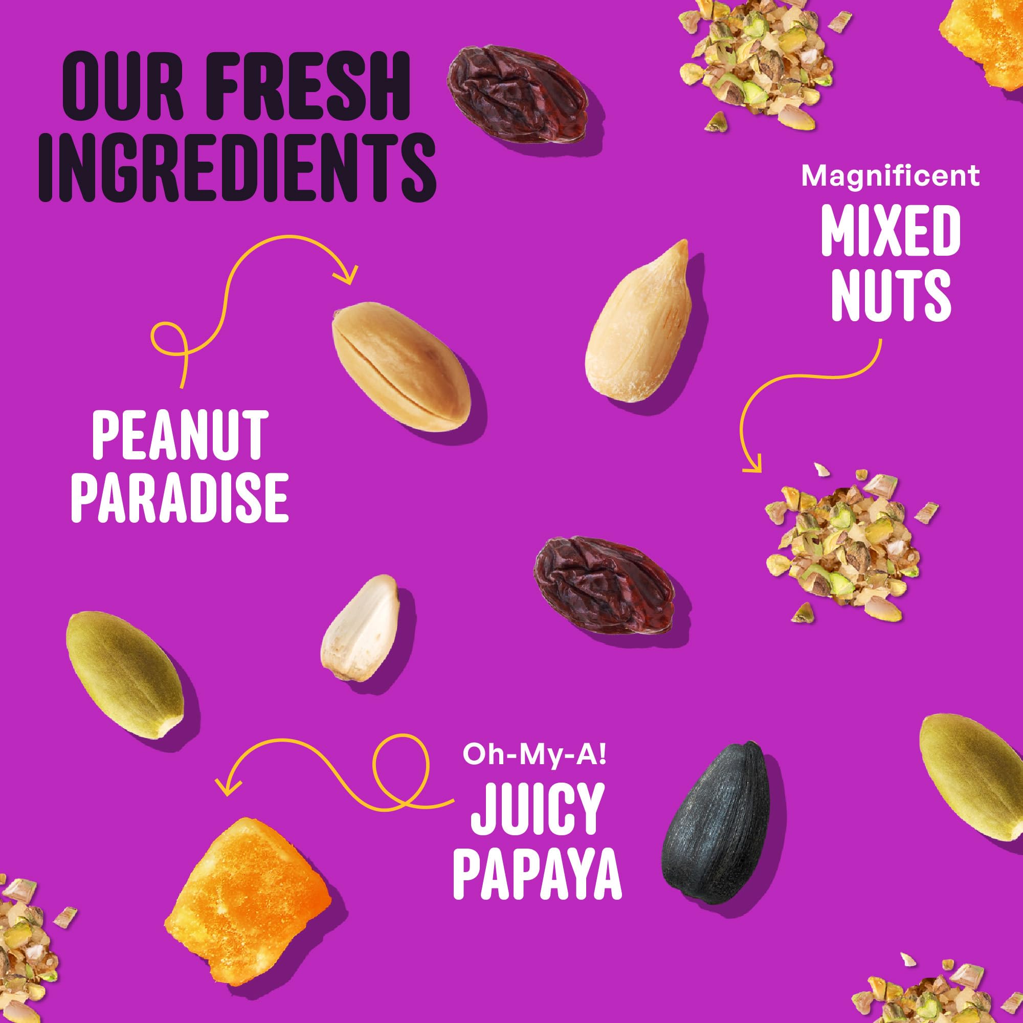 Cool Birds Nut & Fruit - Semi per uccelli selvatici, 4,5 kg, cibo per uccelli gourmet con cuori di girasole, arachidi, noci e frutta vera, senza mais, milo o miglio, per mangiatoie esterne