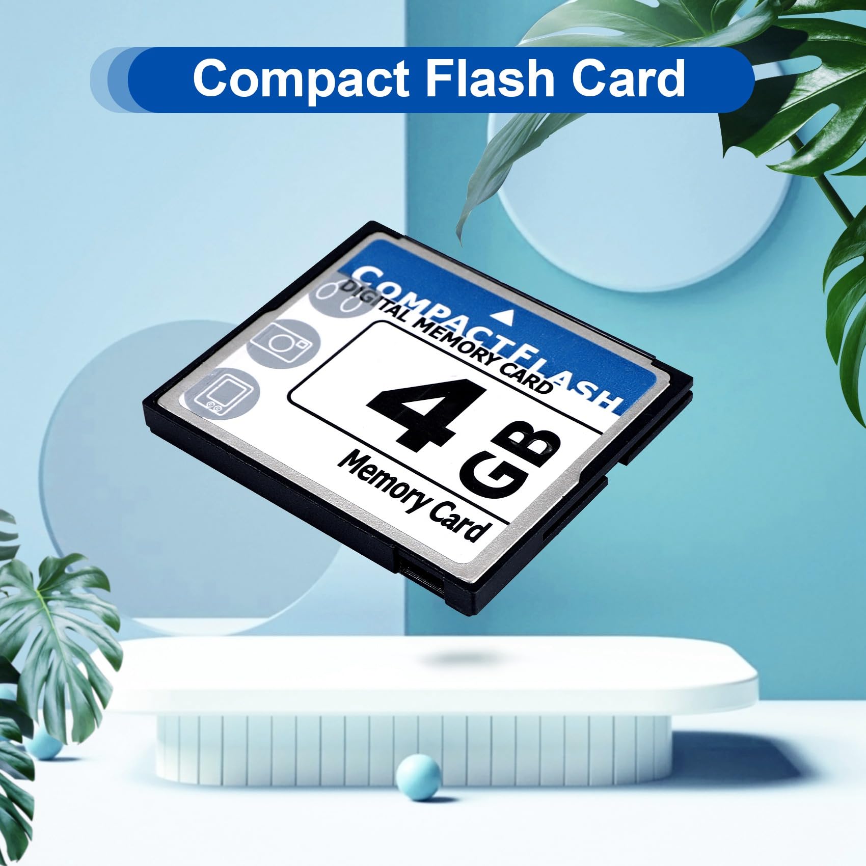 Carte mémoire flash 4 Go Bleu blanc
