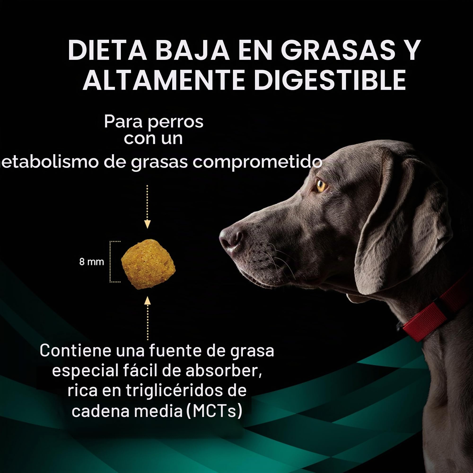 Purina ProPlan Veterinary Diets EN Gastrointestinal Low Fat | 11 kg | Alimento dietético Completo para Perros Adultos