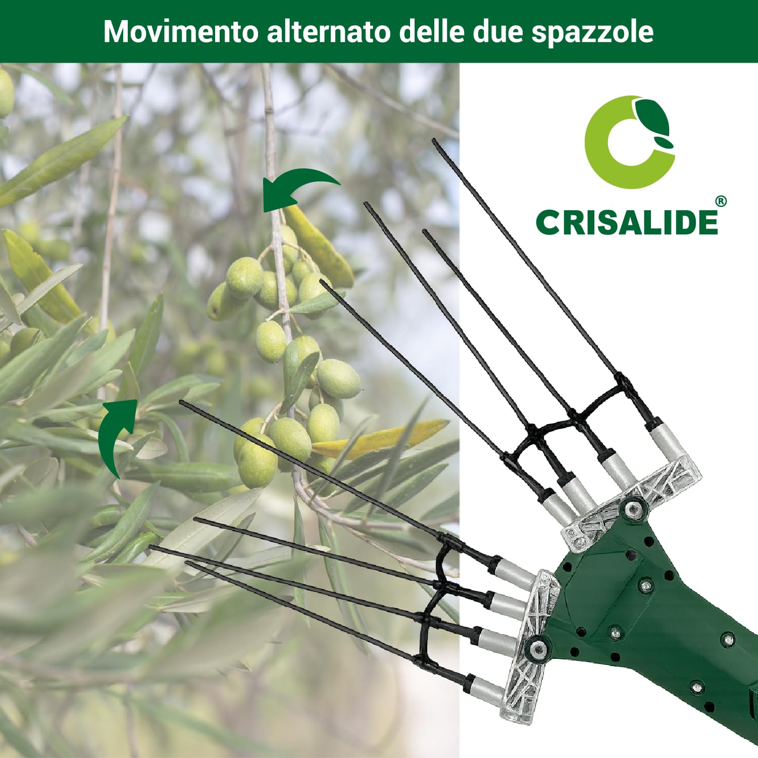 Crisalide® Abbacchiatore Elettrico per Olive TWIST-12 – Scuotitore 12V 140W Brushless con Asta Telescopica 2,3-3,0 m, Pettini in Fibra di Carbonio e Cavo da 15 m – Raccogliolive Professionale