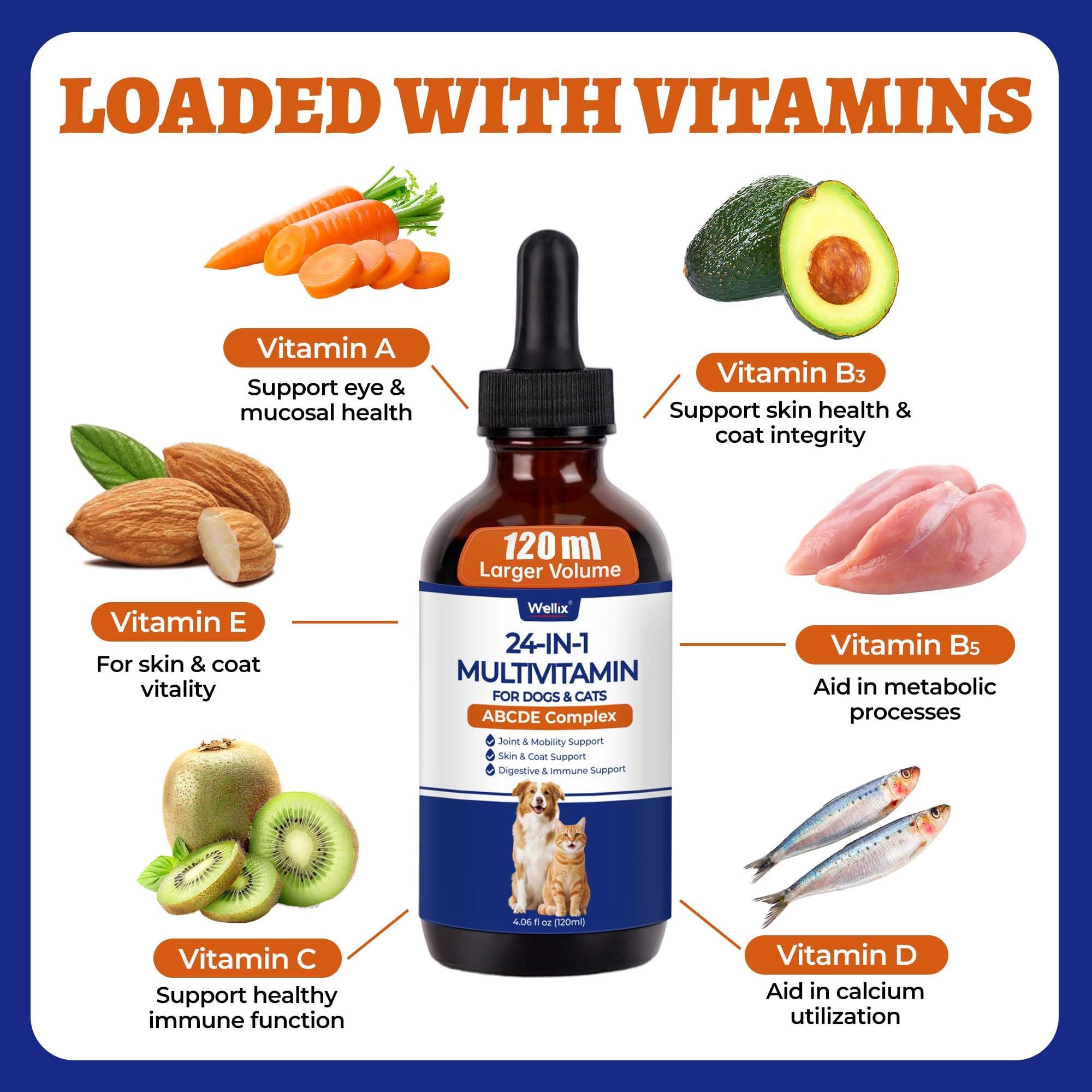 Wellix 4.06 fl oz 24-in-1 Liquid Multivitamin with Taurine for Dogs & Cats — Amazon image 3