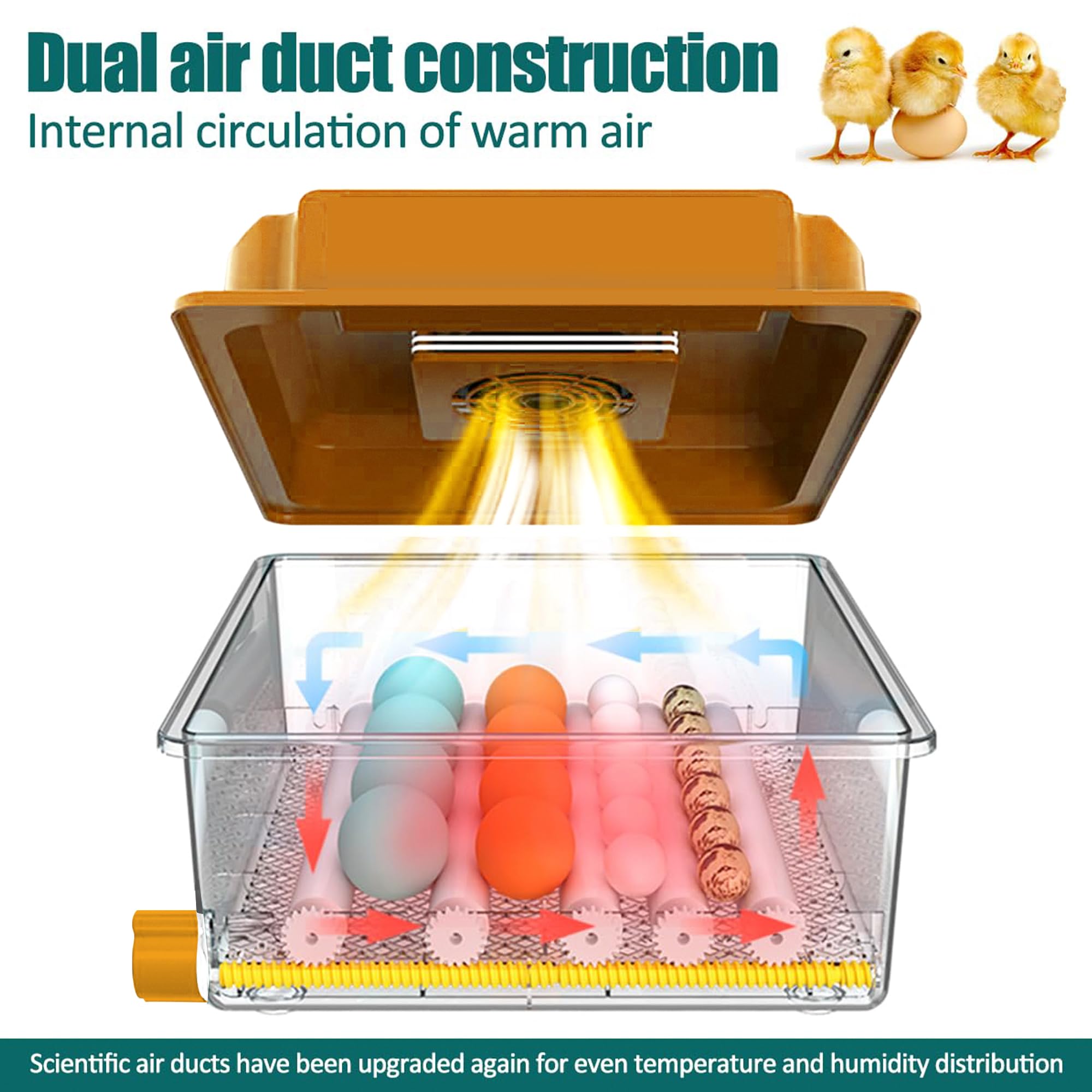 Incubadora de Huevos Automática 24-36 Huevos, Couveuse con Control de Temperatura, Rodillos Ajustables, Llenado de Agua Automático y Ovoscopio Integrado, Naranja