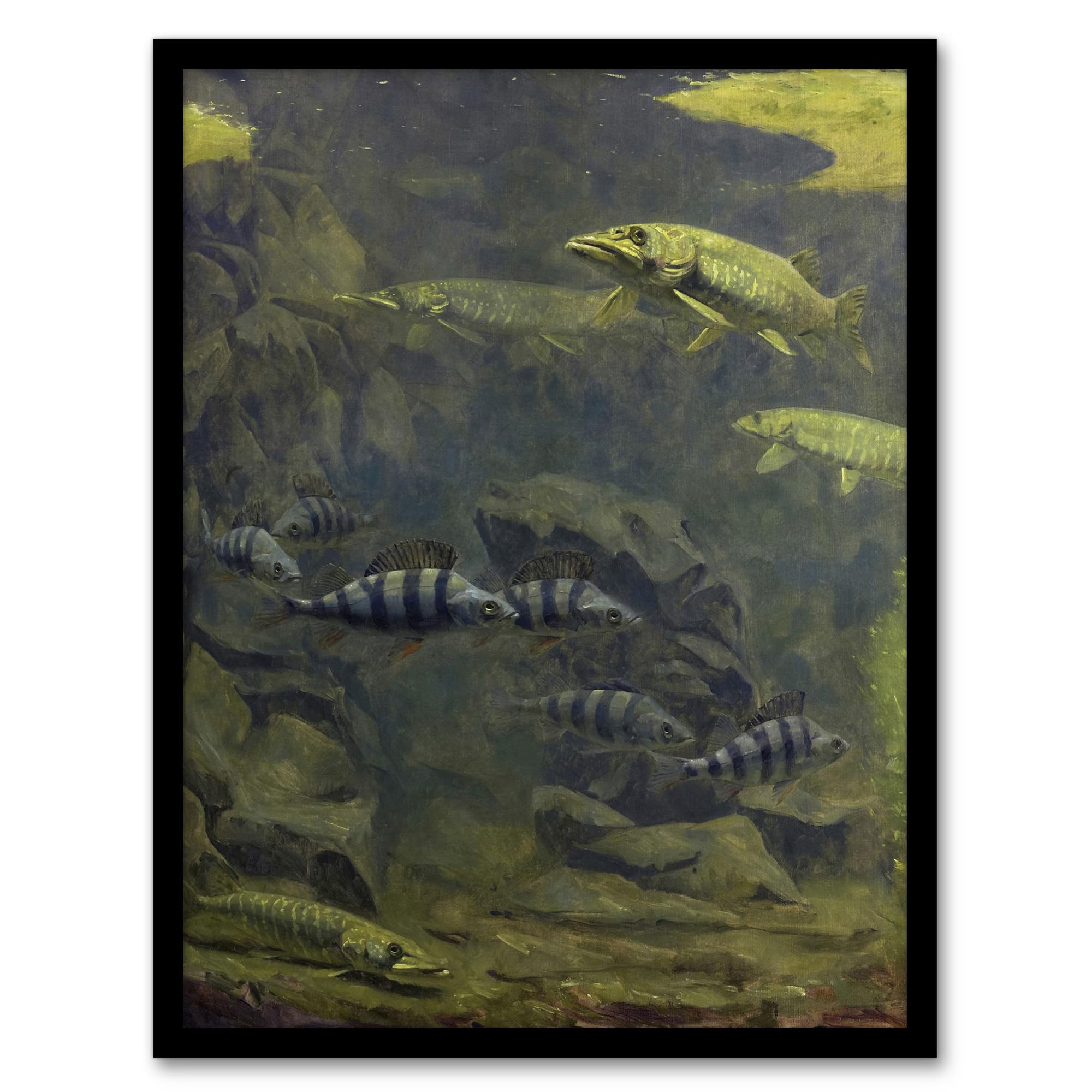 Artery8 Pike Perch Aquarium Framed Wall Art Print Vintage : Artwork by Gerrit Dijsselhof A4 Peaceful aquatic composition calming addition for bathroom hallway or contemplative living room