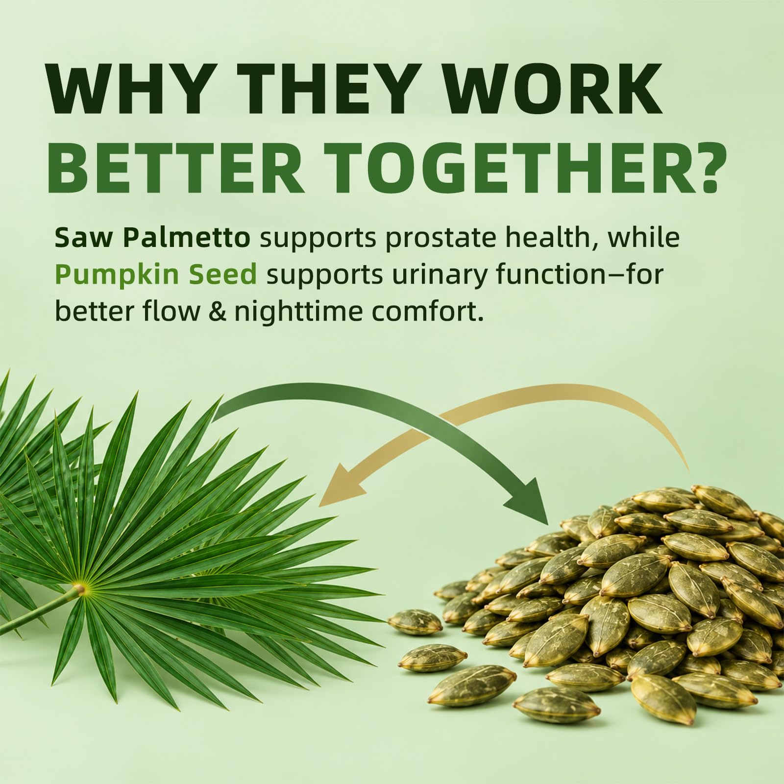 Saw Palmetto with Pumpkin Seed Extract Prostate Health for Men, 120 Count — Amazon image 4