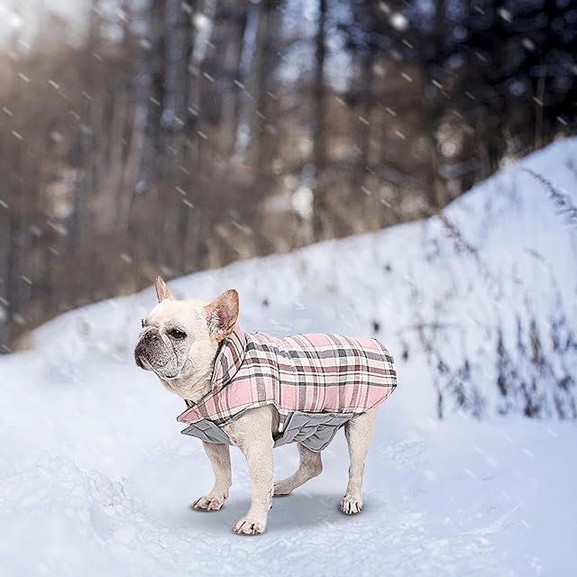 Foto 2 de 8 de Teksome Chaqueta de Invierno para Perros,Abrigo para Perros