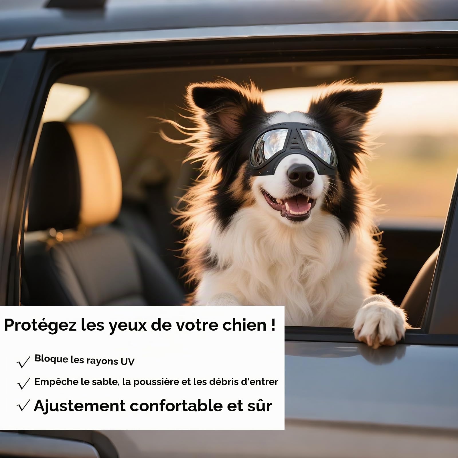 NAMSAN Lunettes pour Chiens Protection des Yeux Sangles Réglables Facile à Mettre Anti-UV Lunettes de Soleil pour Moyen/Grand Chien