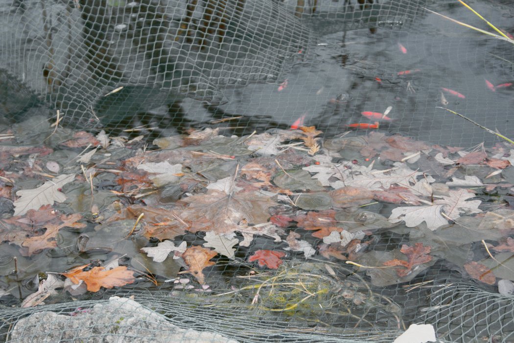 Laguna Teichnetz, Netz für Teiche, schwarz, 6 x 9m