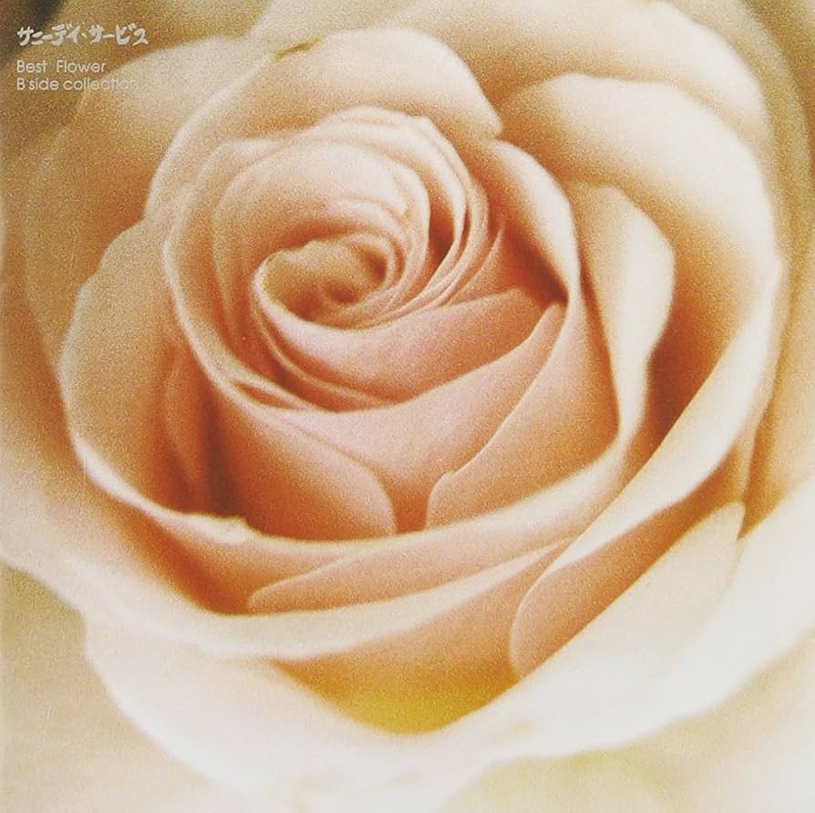 【新品未使用】サニーデイ・サービス『BEST FLOWER』LP 新品未使用】サニーデイ・サービス『BEST FLOWER』LP サニーデイ
