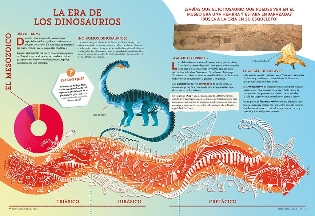 Animales asombrosos: Un recorrido fascinante por la biodiversidad (B Plus)