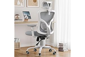 Qulomvs Ergonomic Mesh Office Chair: Advanced Lumbar Support & Comfort