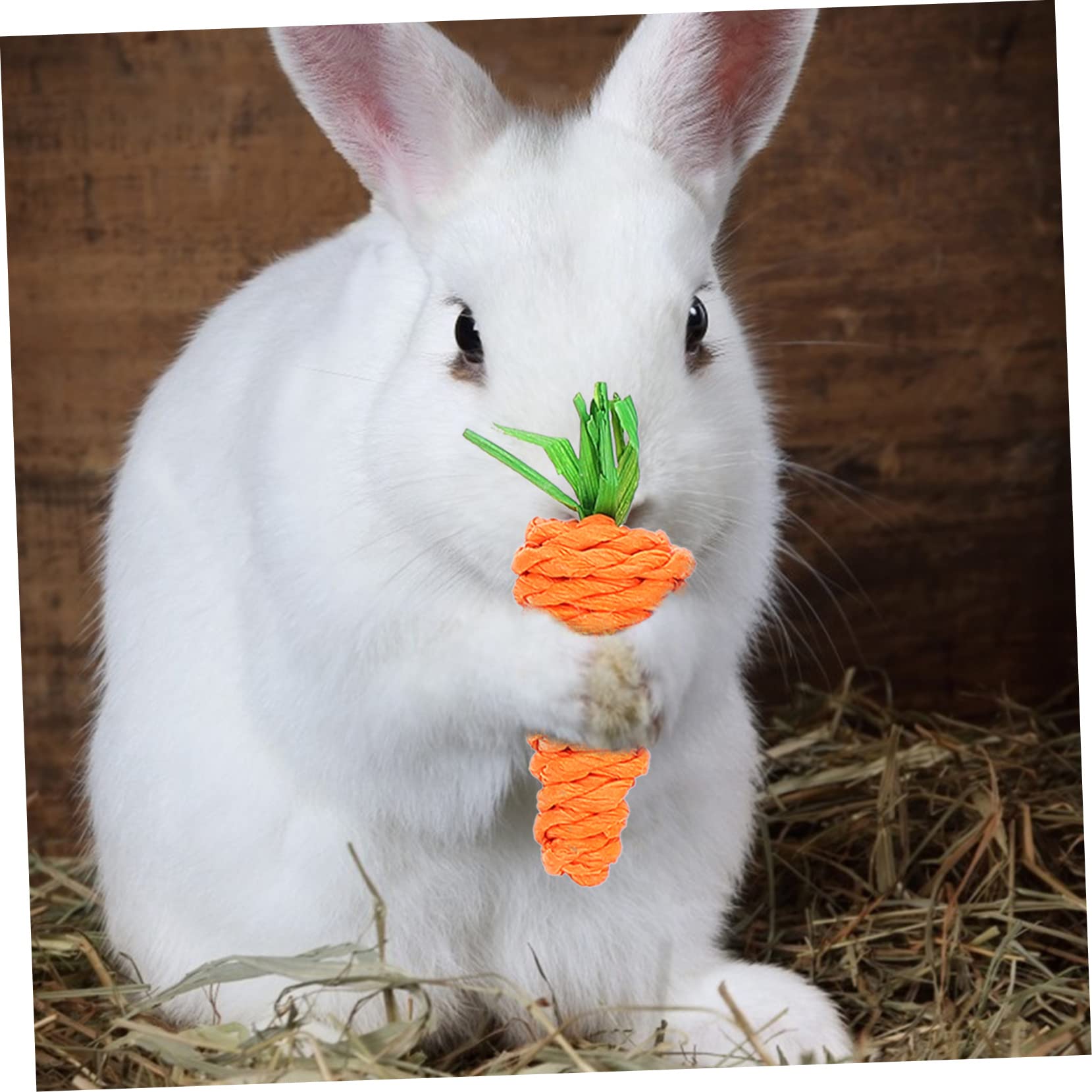 BESPORTBLE 5sets Giocattoli Da Masticare Per Conigli e Criceti Brillanti e Design Creativo Per Gioco e Comportamenti Distruttivi Sicuri e Attraenti Per Animali Domestici