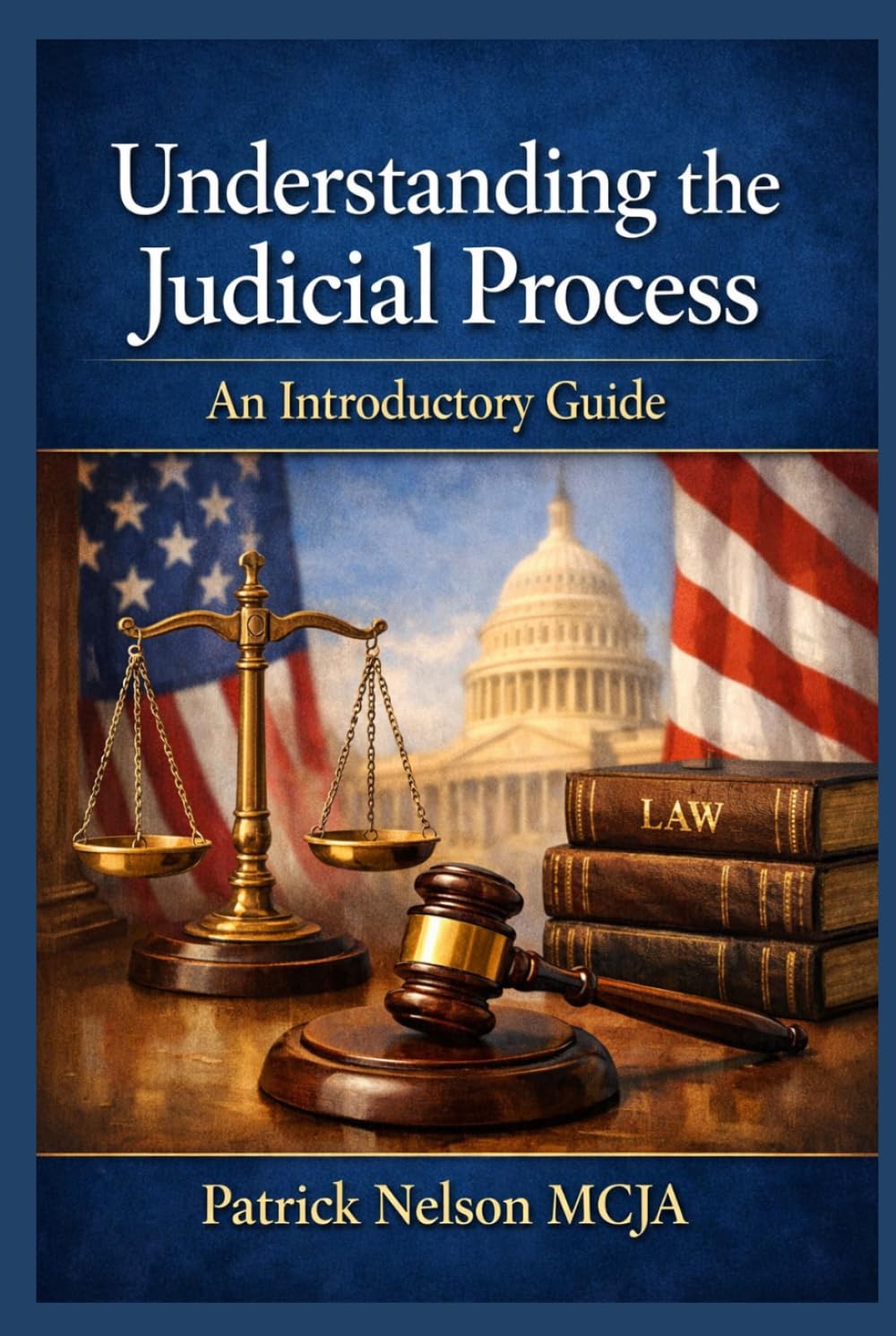 Understanding the Judicial Process: An Introductory Guide
