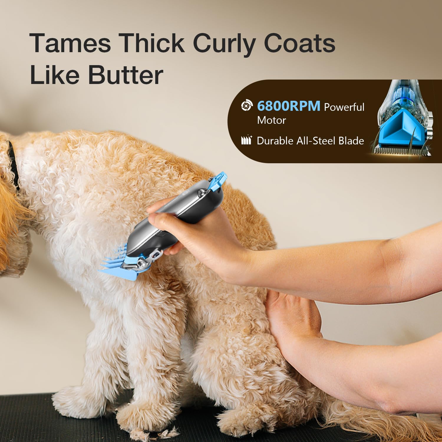 Maquina Cortar Pelo Perros, Cortapelos para Perros con Cuchillas de Cerámica, Inalámbrico Máquina de Cortar Pelo Perro, PC,Apta para Largo y Pelo Grueso,Plata
