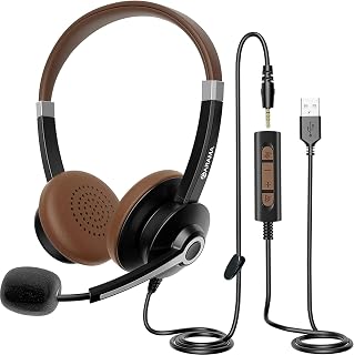 Headset Microphone Cancelling Controls Computer