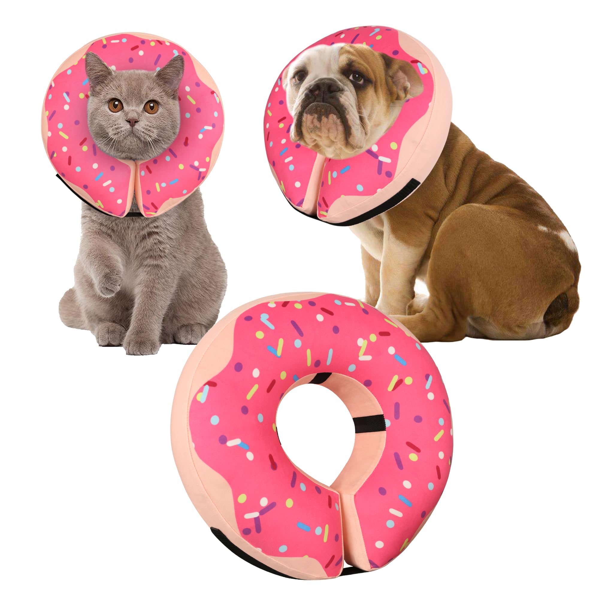 Cneo Donut Collar