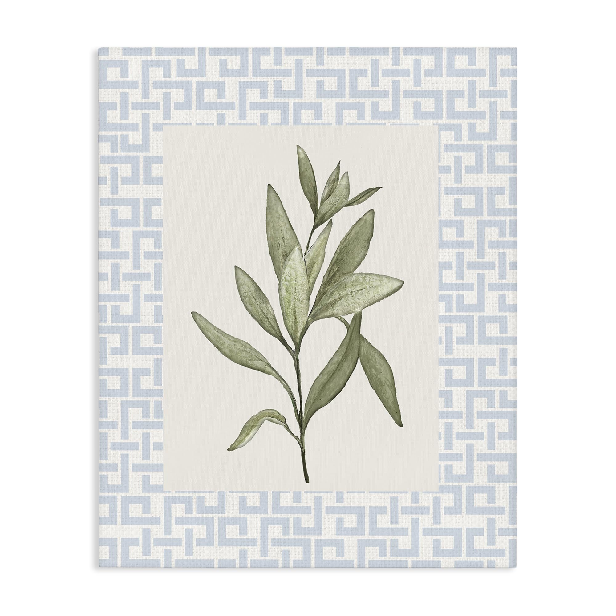 Stupell Industries 'Leafy Fresh Herb', Canvas Art, 24 x 30 Inches, Easy to Hang and Sturdy, Made in USA, by Diannart