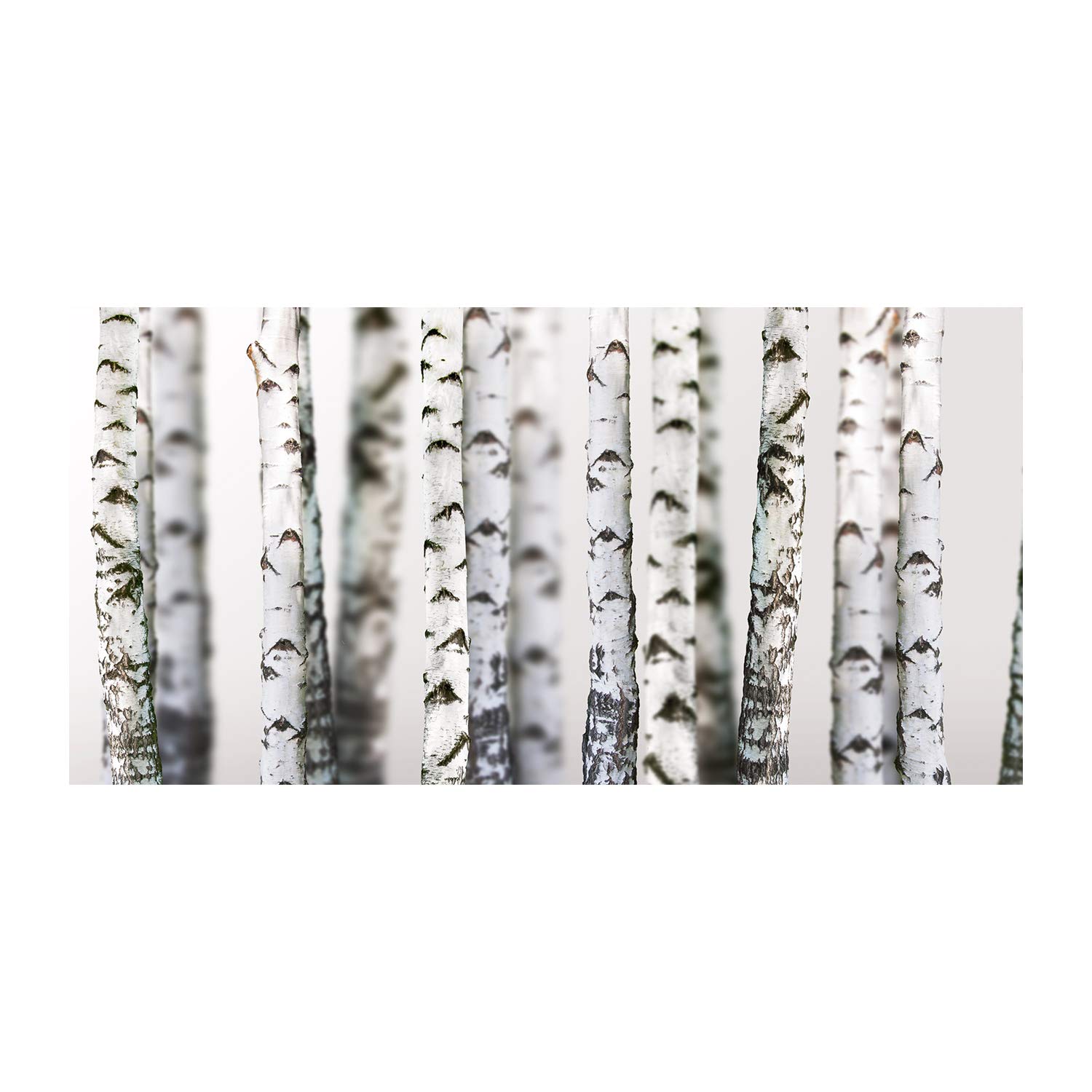 Image sur verre 120x60 nature pour transformer votre déco de salon