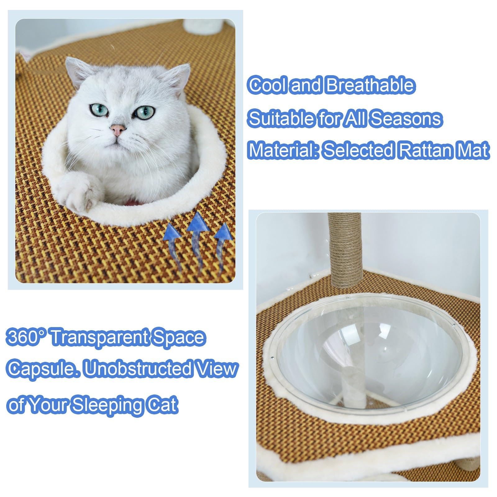 Tiragraffi per Gatti Adulti con Accogliente Cuccia Privata per Gatti e 2 Trespoli, Centro Attività Multilivello con Tiragraffi in Sisal e Pompon di Peluche