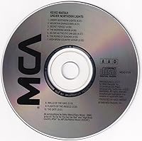 Vista 3 de Bajo la aurora boreal