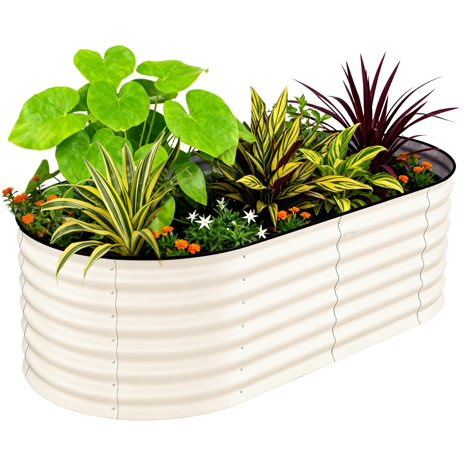 Aptliton 1 Pcs-White-With Anti-Cut Strips Galvanized Steel Raised Garden Bed 180X90x60cm, Heavy Duty Oval Planter Box (No Bottom) With Anti-Cut Strips, Weather Resistant For Vegetables Herbs Flowers, Beige
