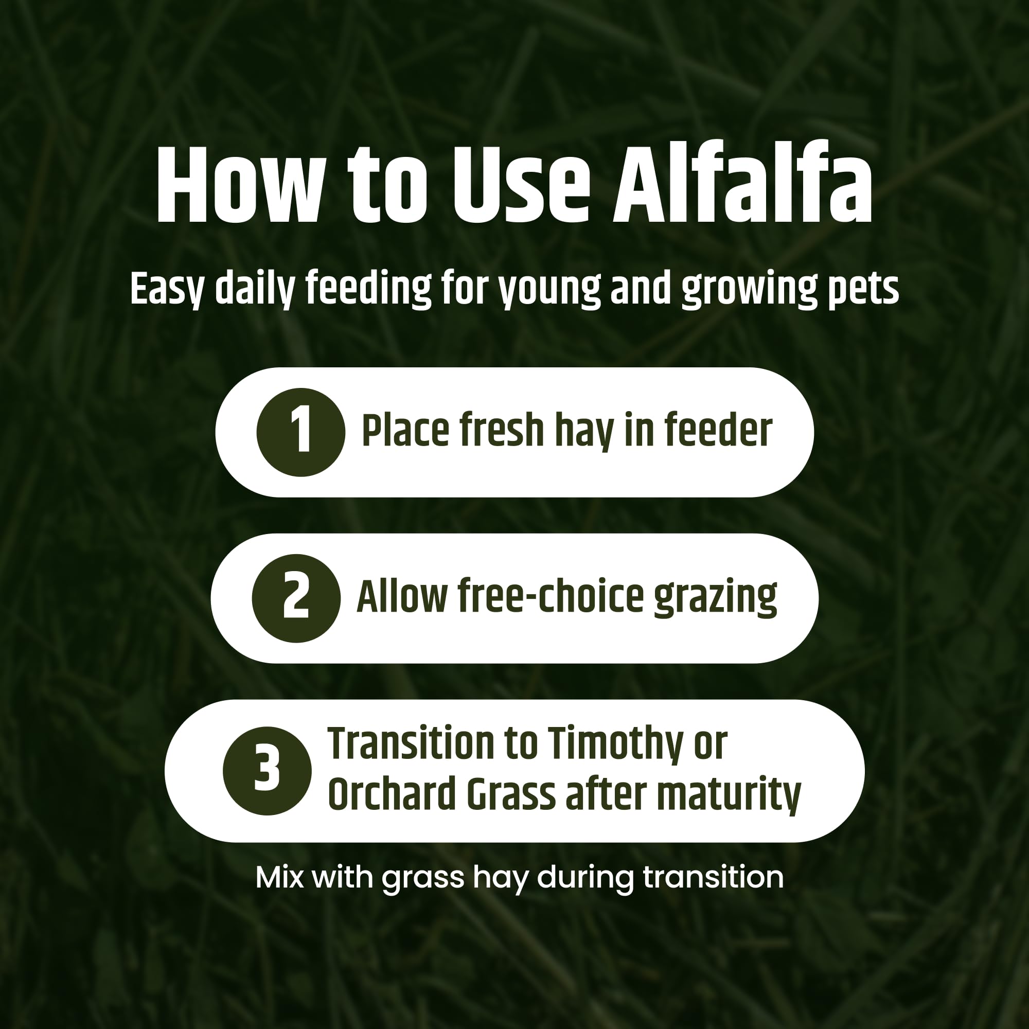 High Desert Alfalfa Hay, Protein Rich Soft Leaf Food for Young Growing Animals, Natural Rabbit Food and Guinea Pig Hay, Supports Digestive Health, Small Pet Supplies, Fresh Hand, Pack of 2, 10 Lb Box