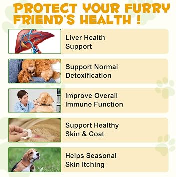 Allergy & Itch Relief Liquid for Dogs, Anti Itch Liquid Supplement Soothes Itchy Skin, Ears, Paws from Allergies, Supports Skin & Coat Health - 60ml