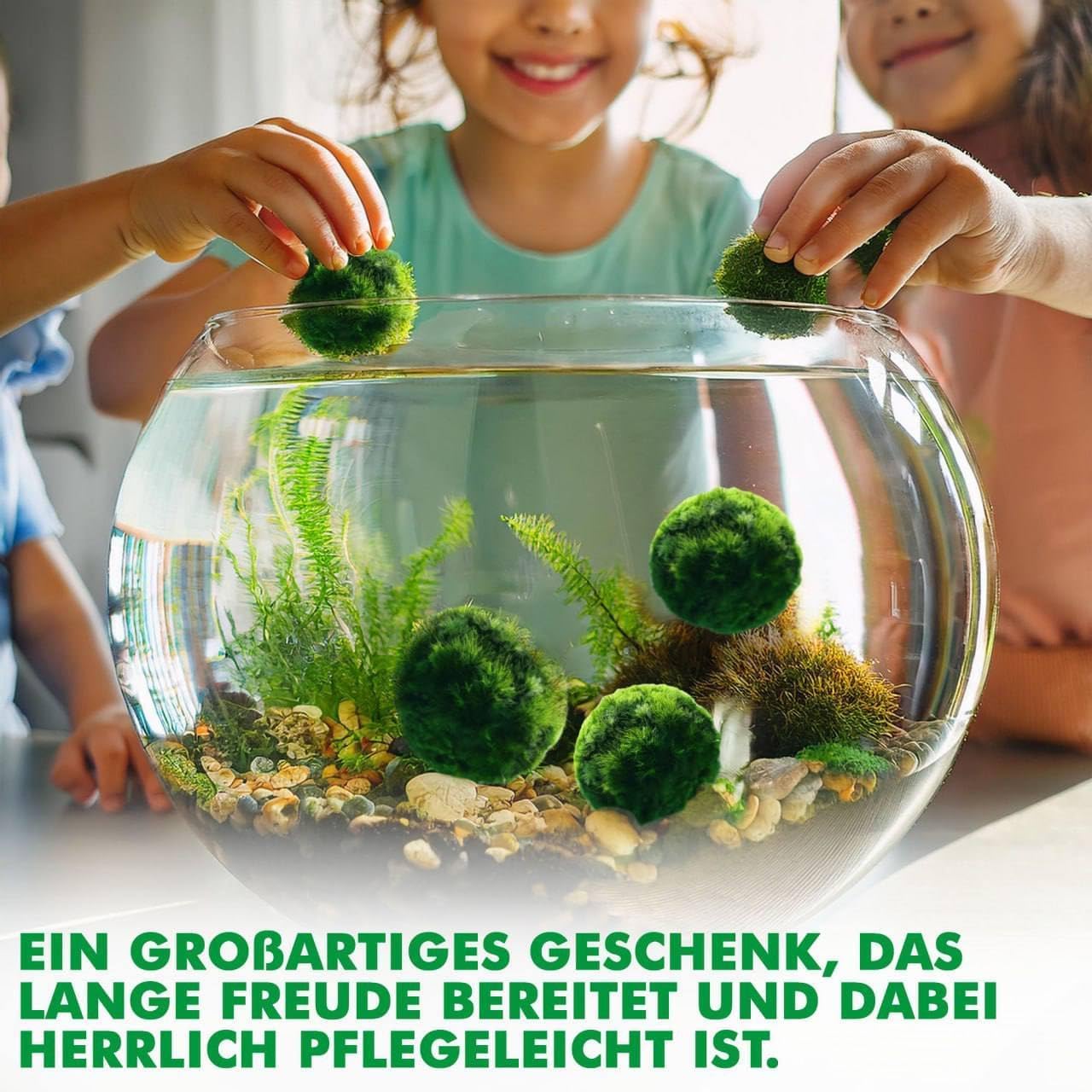 10 pezzi + 1 sfere di muschio per acquario, Cladophora aegagropila linneiae muschio, piante acquarie, muschio, decorazione per acquario, piante vere, marimo, moosball (2-3 cm)