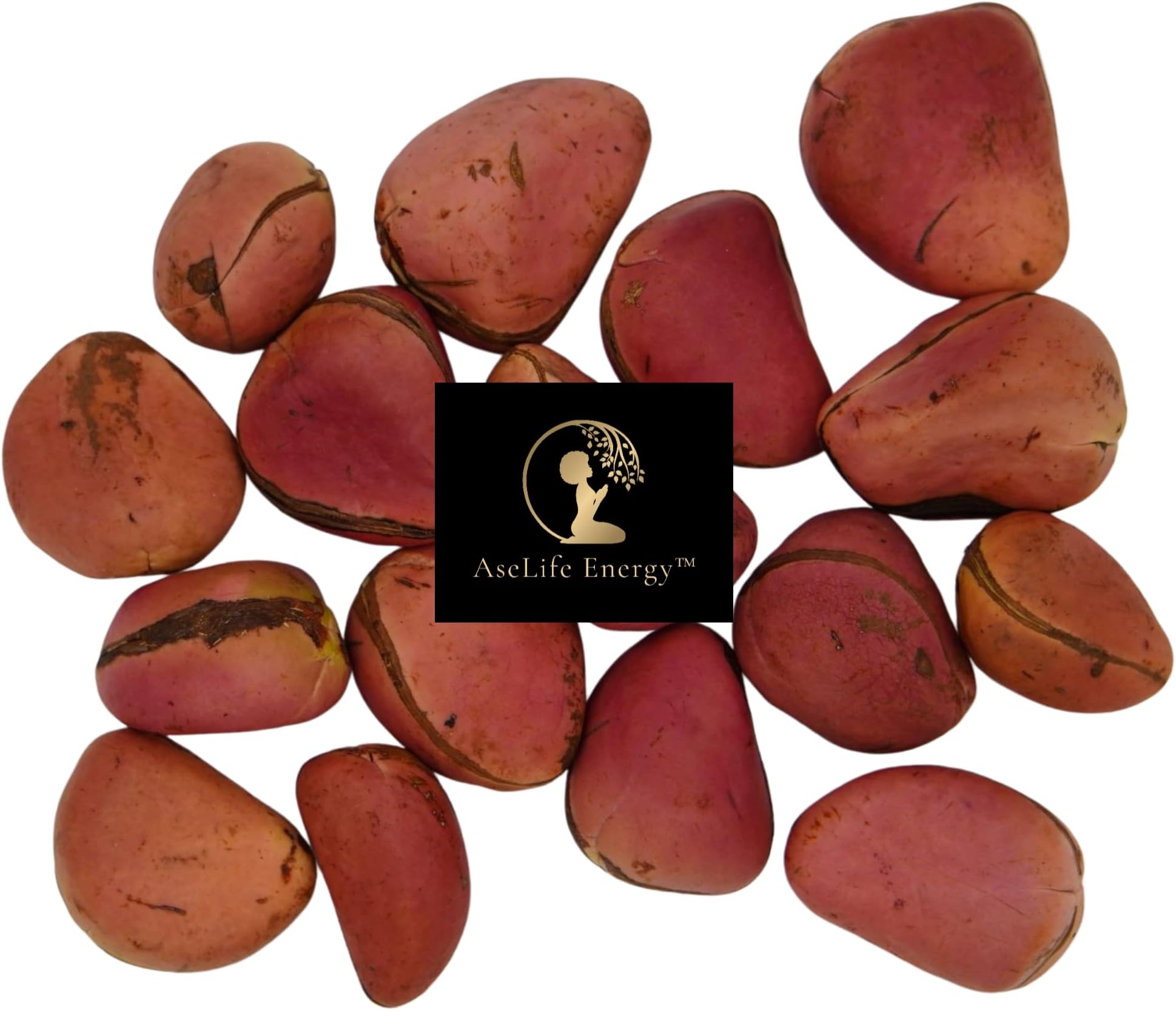 AseLife Energy™ ~~ 2 Lobe Kola Nuts ~~ HALF POUND FRESH JUICY DIVINATION SPIRITUAL