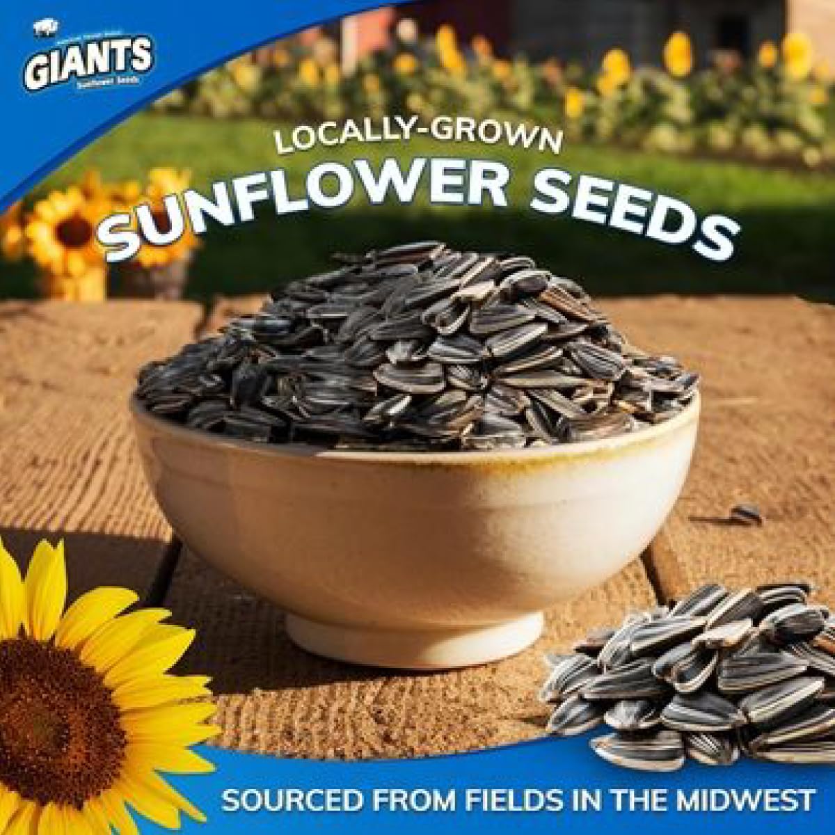Amazon.co.jp: Giants Sunflower Seeds Original 163g×2袋 ひまわりの