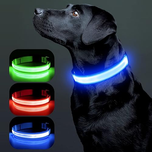 Miniatura 7 de Colaseeme Collares para perros con luces LED, collar de perro recargable con micro USB, hebilla de plástico de nailon ajustable, anillo en D,