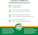 Jamieson Vitamine B12 1 200 mcg Gummies Saveur Framboise Naturelle, Énergisant Naturel, et Soutient le Métabolisme. Végétarien, Non-OGM, Sans Gluten, Sans Arômes, Couleurs ou Conservateurs Artificiels, 70 Comptes, Fièrement Canadien